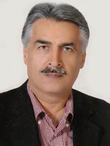مهدی سالمی